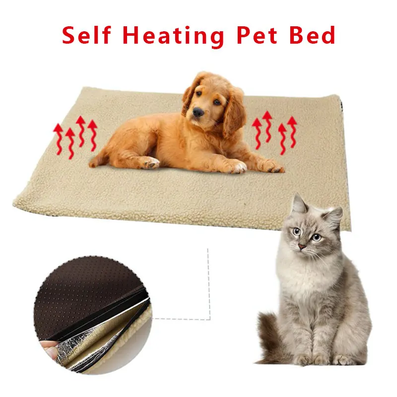 small fluffy dog breeds