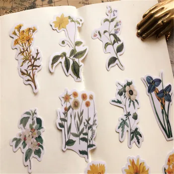 

62pcs Vintage Flower Plant Illustration Sulfuric Acid Sticker DIY Scrapbooking Stickers Stationery Diary Planner Bullet Journal