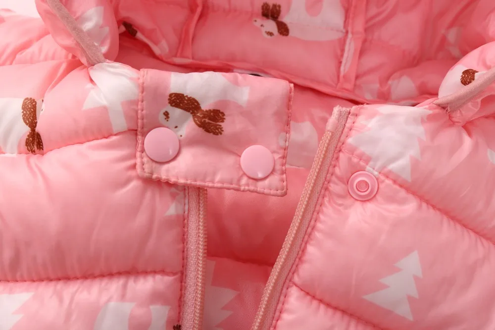 11639785437_760768517