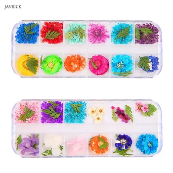 

JAVRICK 12 Pcs/box Dried Flowers Epoxy Sheet UV Decoration Resin Silicone Mold DIY Jewelry Filler Beauty Nail Accessory