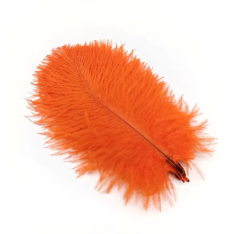 Orange feathers