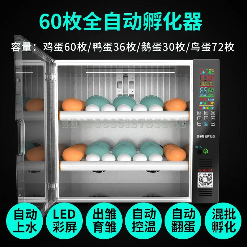 60 eggs-175