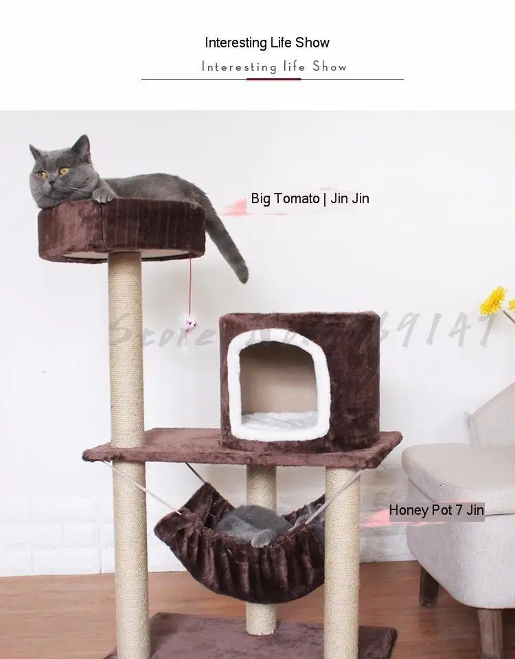 Рамка для кошки, лазания, полка для кошки, кошачий наполнитель, лето, четыре сезона, универсальная кошка, дерево, один домик для кошки, маленький с гнездом, поручень