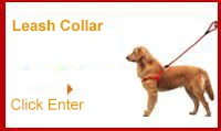 Leash Collar