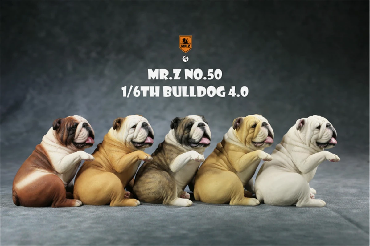 JXK 1/6 British Bulldog 4.0 Dog Pet Figure Animal Model Toys Xmas