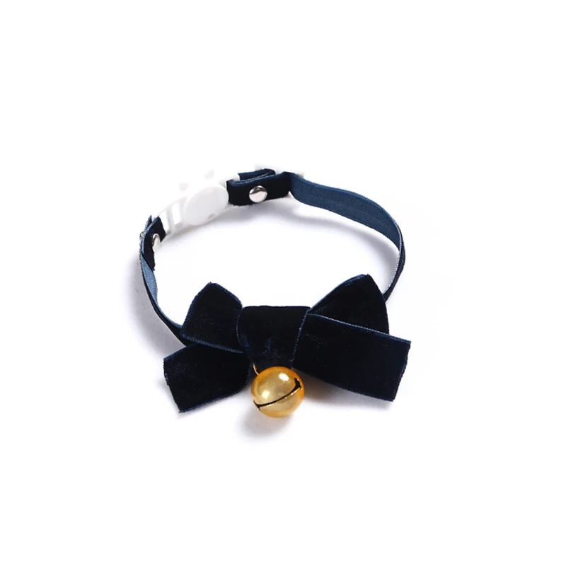 13998713472_1199050608