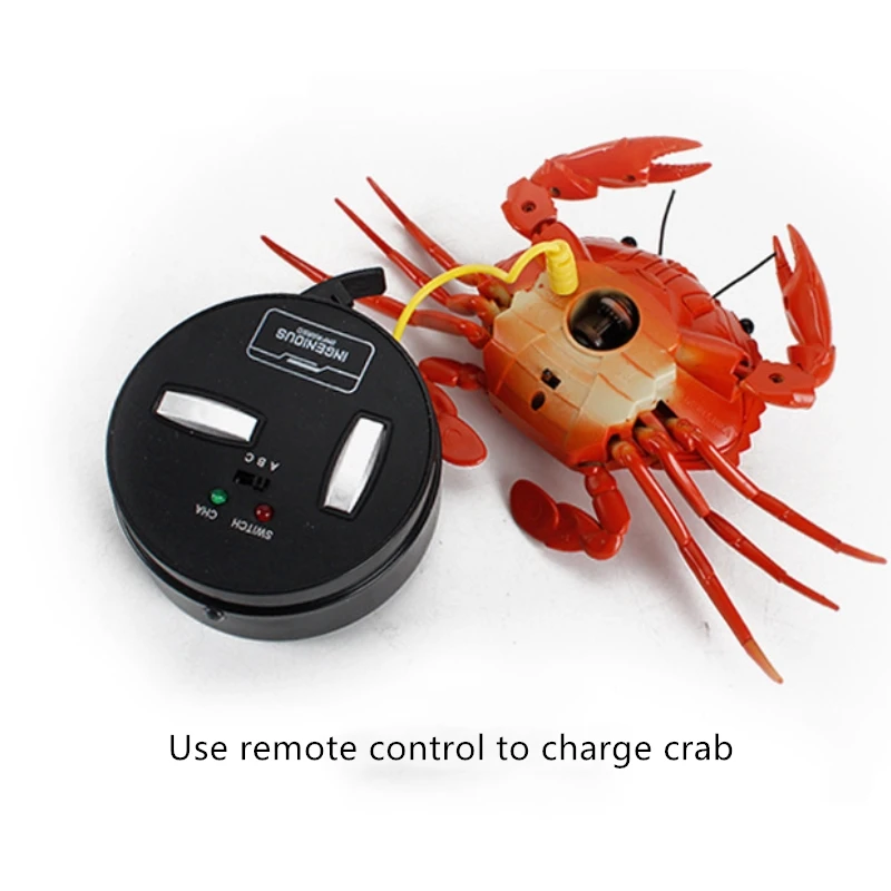 11619660967_202388549