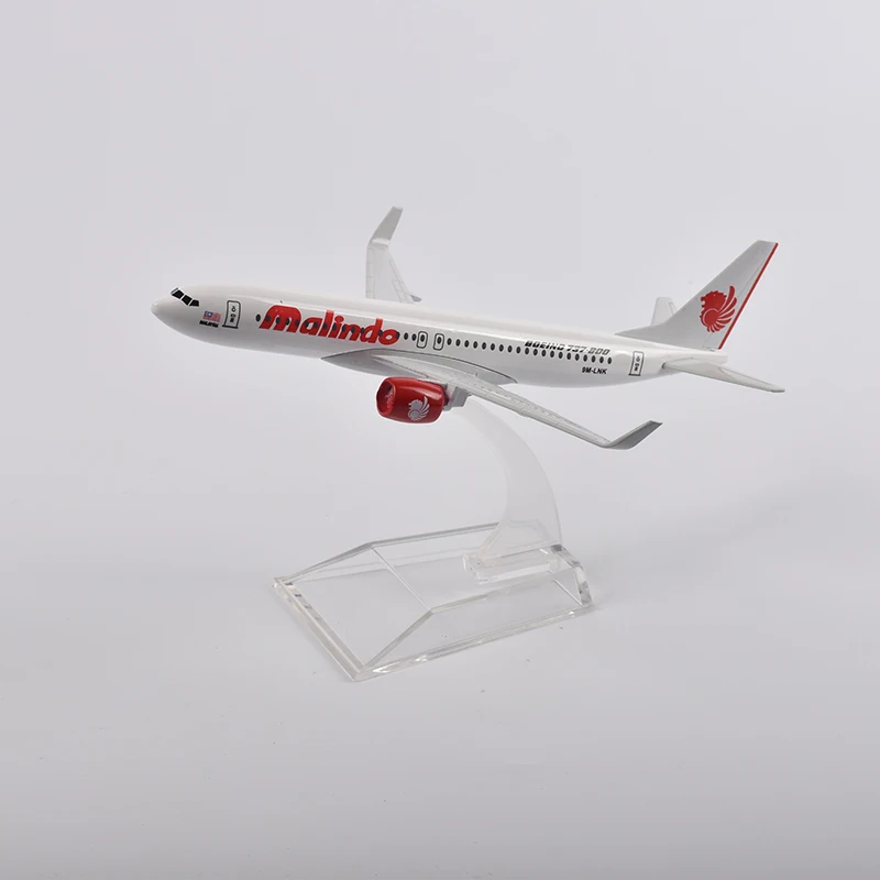 Рисунок 2 - Модель самолета Malindo air Boeing 737