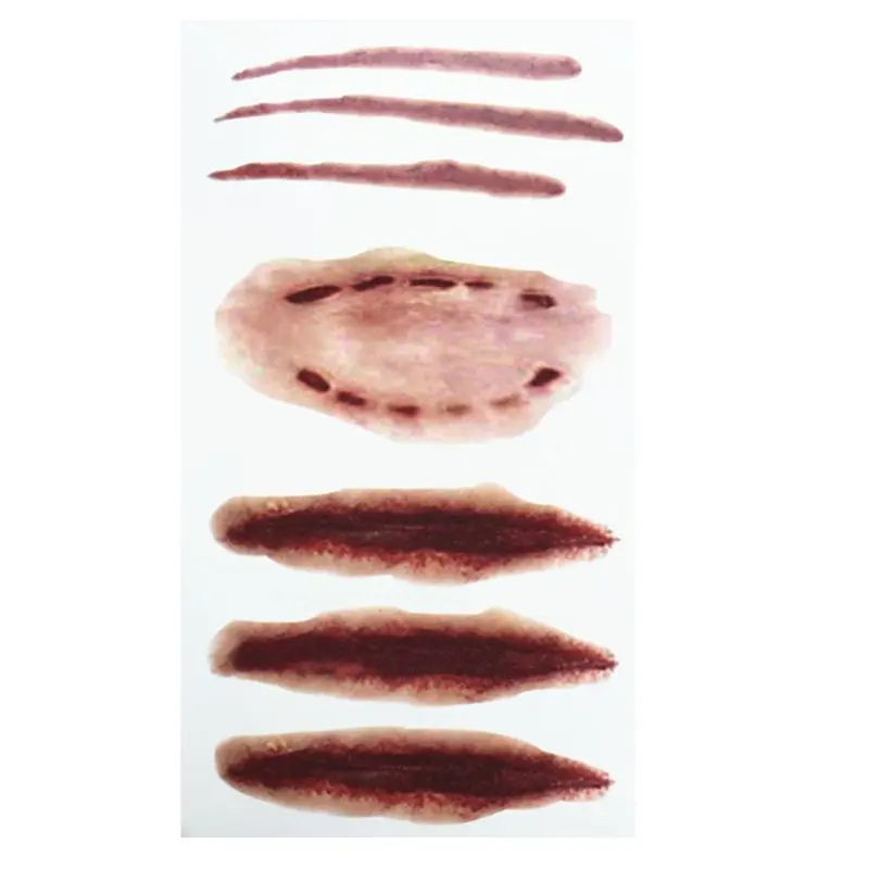 10 Sheets Halloween Waterproof Temporary Tattoo Sticker Horror Realistic Fake Bloody Wound Stitch Scar Scab Cosplay Makeup Props - Цвет: D