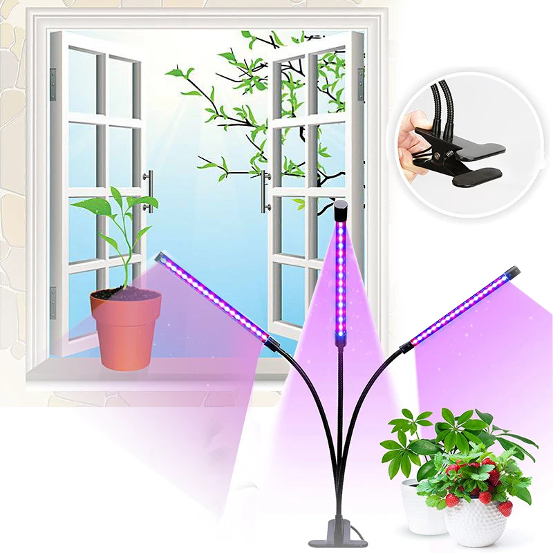 

Indoor LED Grow Light Full Spectrum Lamp For Plants Led Fitolampy Phyto Lamp For Flowers Seedling Cultivation Herbs Shelves LED