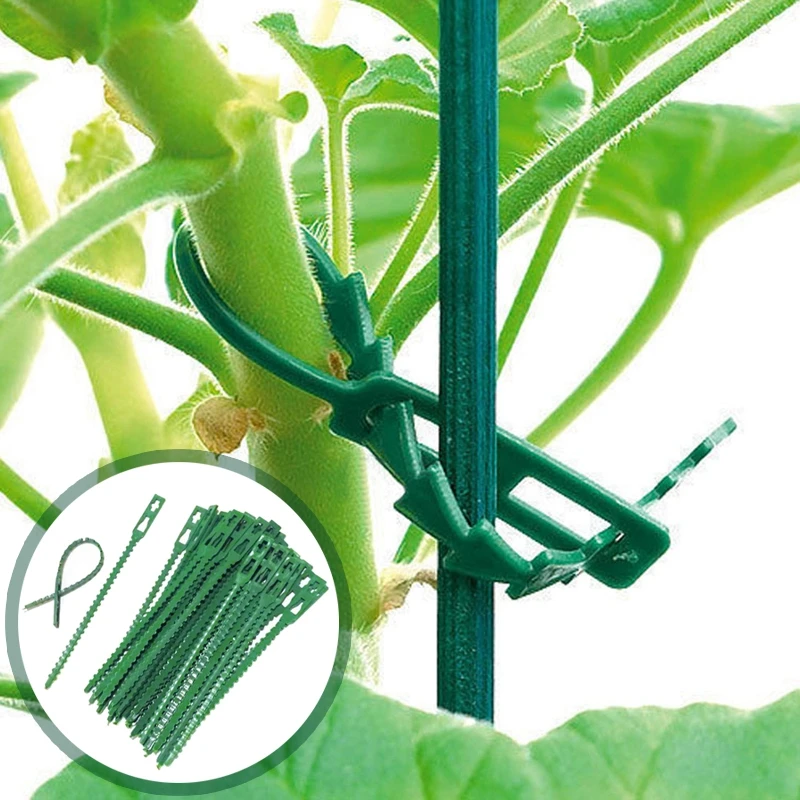 20-200PC Plastic Plant Support Clips Reusable Plant Vine Connects Fixing Tool Vegetable Tomato Grafting Protect Garden Supplies
