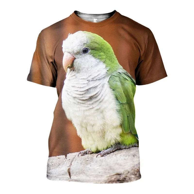 Duc_Quaker_Parrot_3D_DT16071902_ts_800x
