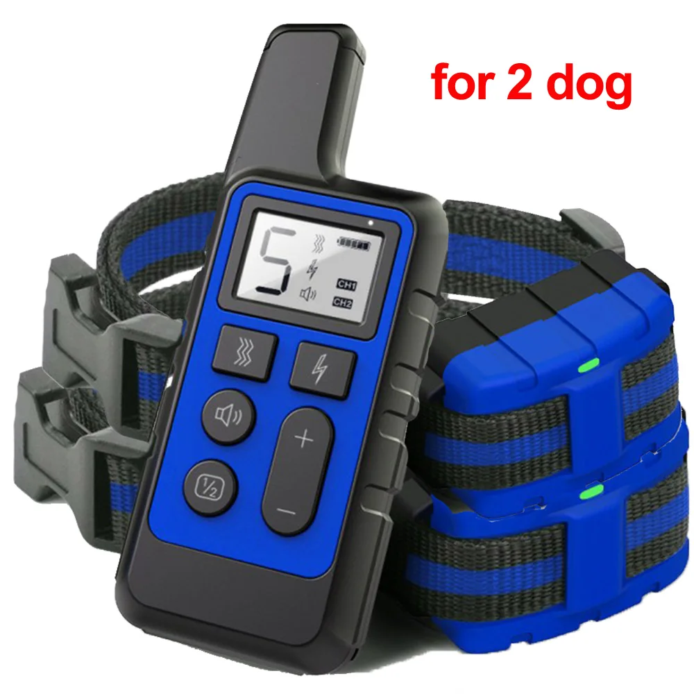 for 2 dog Blue