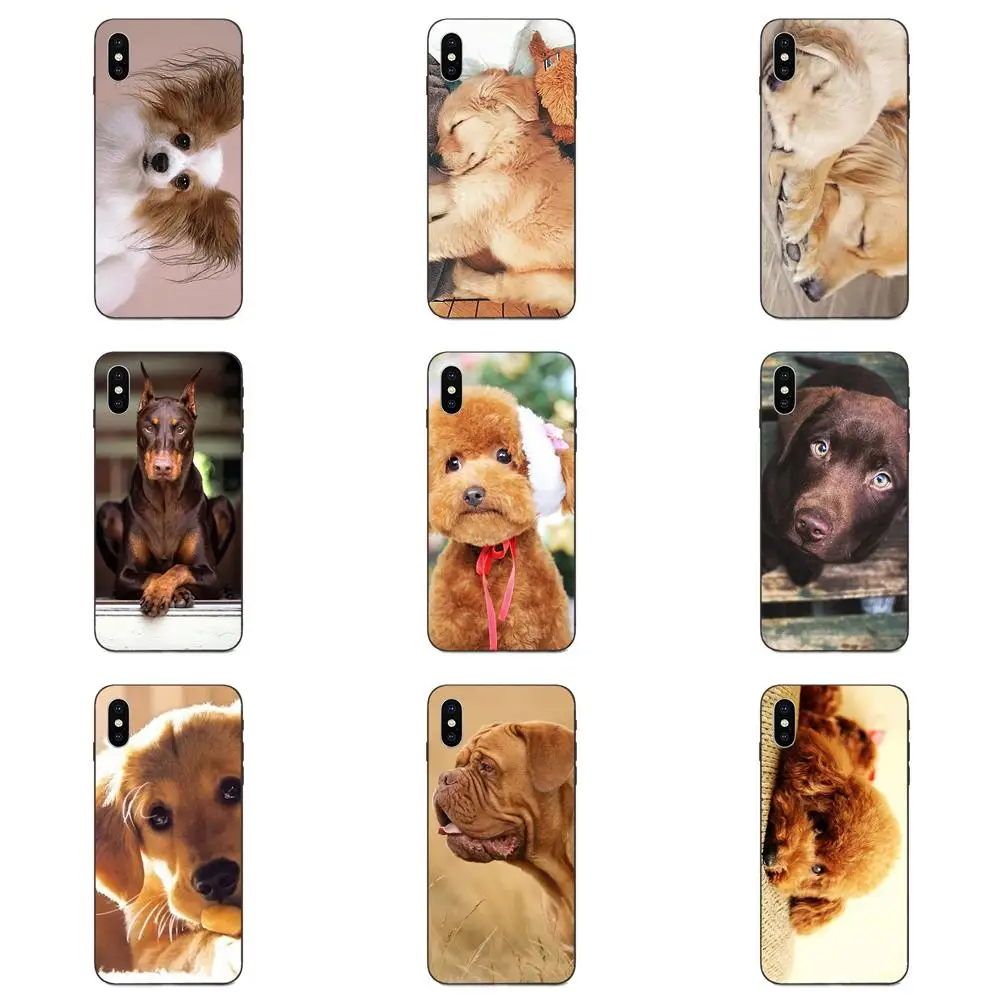 Soft Case Protective For Galaxy A10S A20S A2 Core A30S A40S A50S A70S A90 5G M10 M30S M40 Note 10 Plus Gold Pet Dog | Мобильные