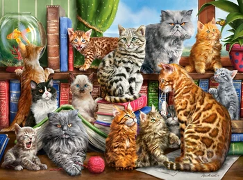 

New Assemble Cats on The Castor's Shelf 2000 Pcs Jigsaw Puzzle.for Adult Birthday's Gift