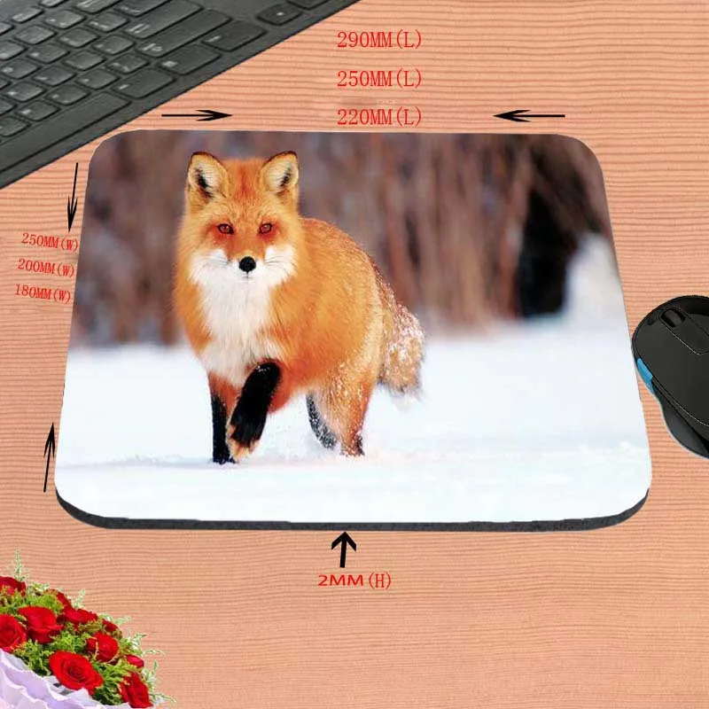 25x20cm Congsipad дешевые лучшие забавные животные пустыни уха лиса Забавный пользовательский коврик для мыши для размера 18*22 см и 25*29 см и 25*20 см в подарок - Цвет: 25x20cm