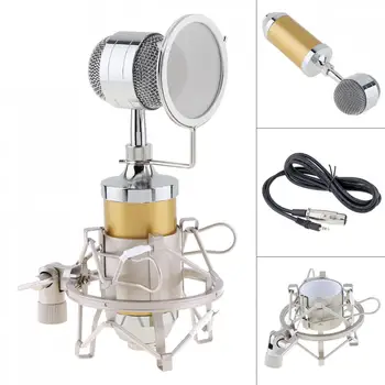 

Professiona Sound Studio Recording Condenser Microphone Plug Stand Holder Gold-plated Large Diaphragm Head Audio Recording/KTV