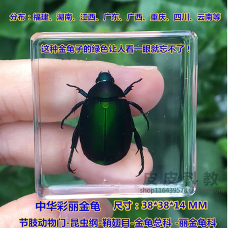 6D~DYZV__`B7YB8FSC_Q4RS_副本