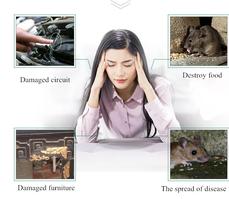 10870590960_428775715