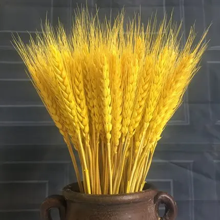 Yellow 50 шт/Партия искусственный натуральный шип сушеный цветок пшеницы зерна букет натуральный завод свадебные украшения Скрапбукинг сделай сам - Цвет: Yellow