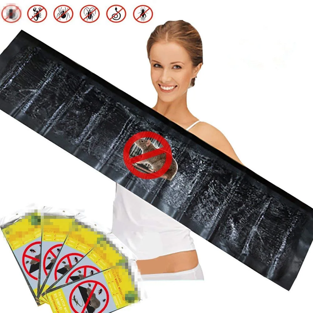 71Ql9p31ZbL._SL1001_