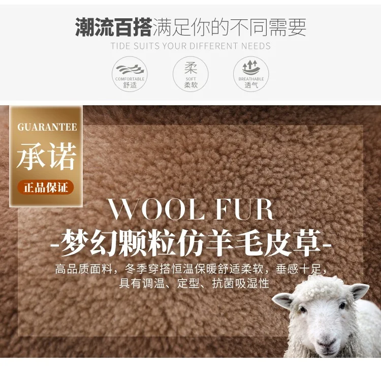 Graceful Lambs Wool Coat Women's Short Winter CHIC New Style Korean-style Loose-Fit Sheep Shearing Thick Cotton-padded Clot