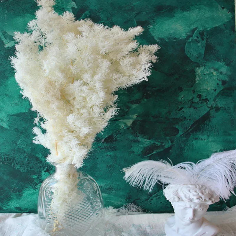 O1CN01gzH8Jc1plhggXnW9Y_!!681845401