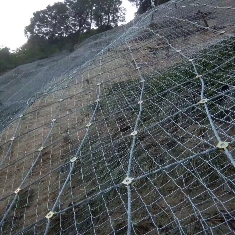 

Production Direct Selling Mine Wire Mesh Mine Support Network Slope Green Private Network Galvanized Slope Chain Link Fence