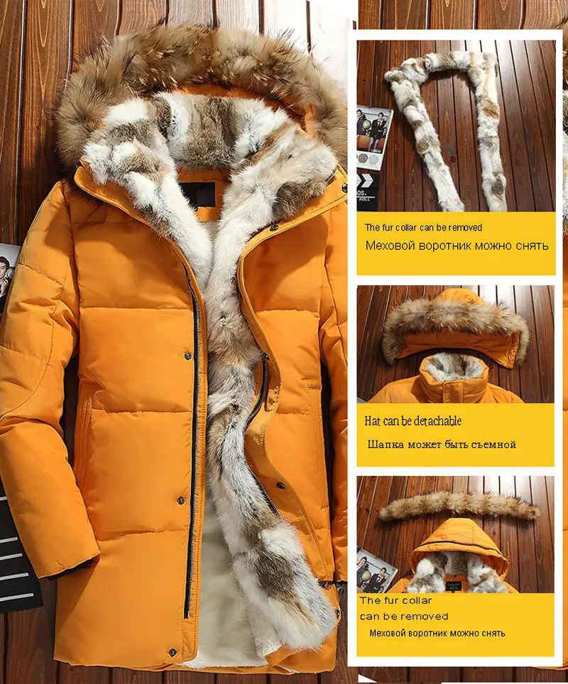 10267636169_1886128476