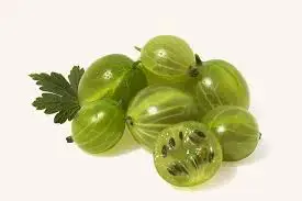5 шт тропические фрукты Amla Бесплатная доставка|Детские горшки| |