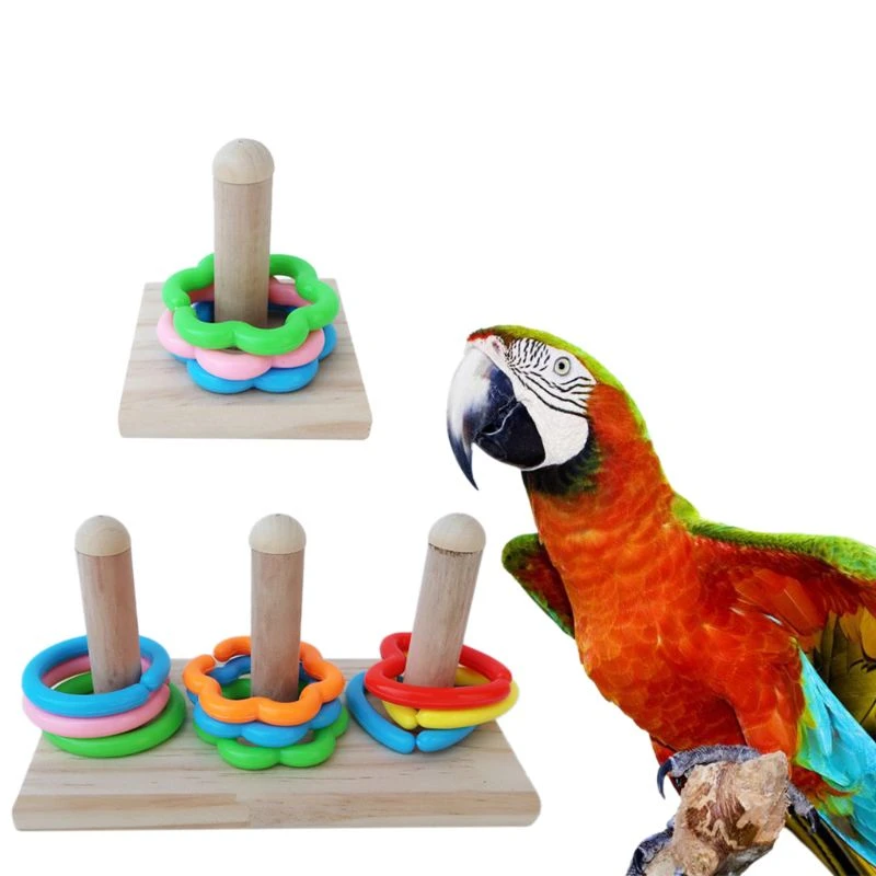 parrot puzzle toys