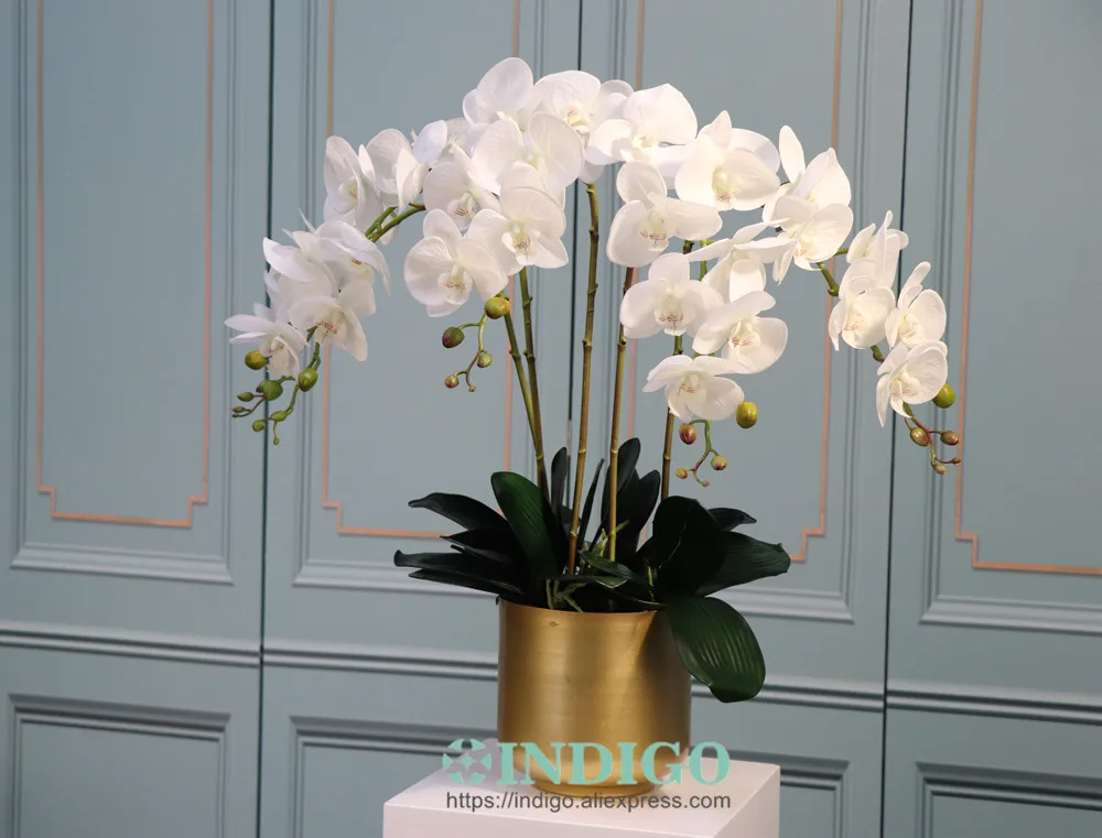 Phalaenopsis Orchid 90cm (7 Flower Stem) Real Touch Artificial Flower  Wedding Party Centerpiece Floral Interior Trim Indigo - Artificial Flowers  - AliExpress