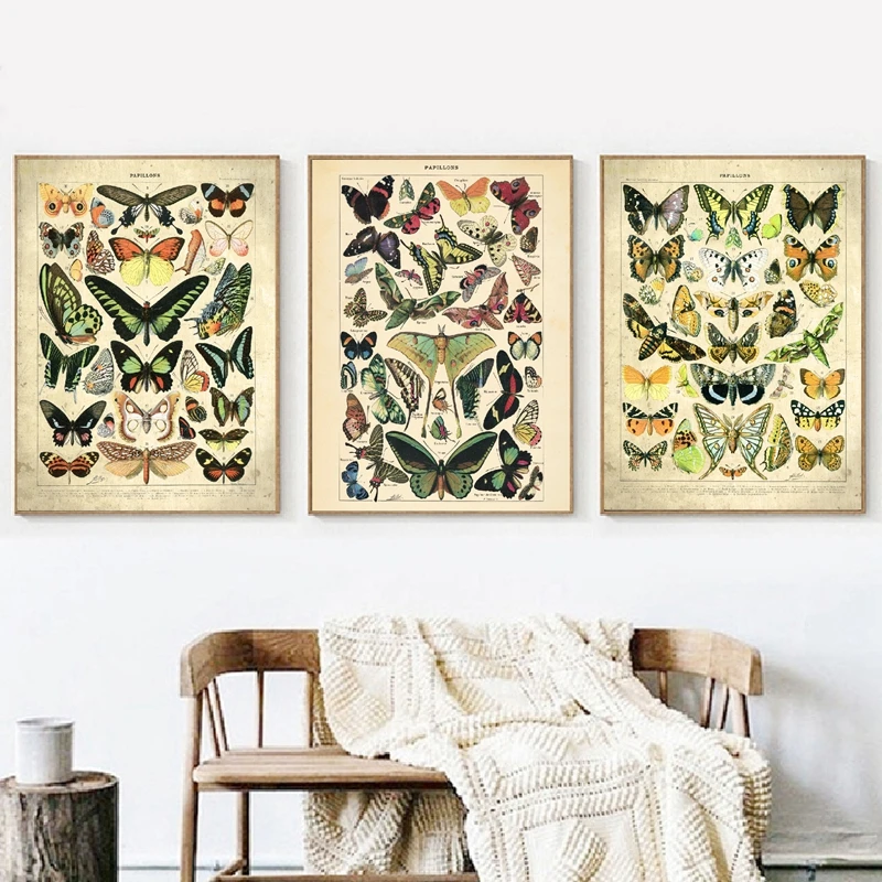 Butterflies Vintage Print Home Wall Art Decor