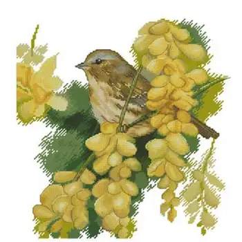 

Winter jasmine bird patterns Counted Cross Stitch 11CT 14CT 14CT 18CT DIY Chinese Cross Stitch Kits Embroidery Needlework Sets