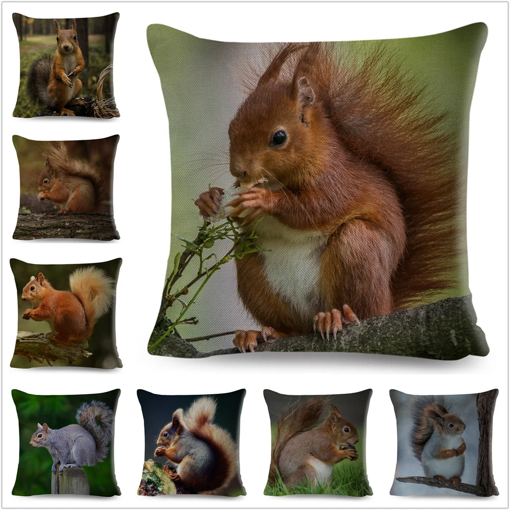 

Cute Squirrel Cushion Cover Pillowcase Pillow Covers Home Decor Pet Animal Linen 45 * 45 cm Pillows case