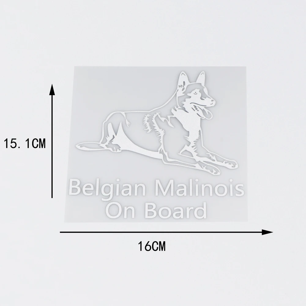 YOJA 16X15.1CM Belgian Shepherd Malinois на доске Виниловая Наклейка Декор автомобиля стикер ZT2