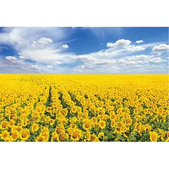 

Blue Sky and White Clouds Backdrop Blooming Sunflowers Background Wedding Photo Photography Studio Props Family Party Decoration
