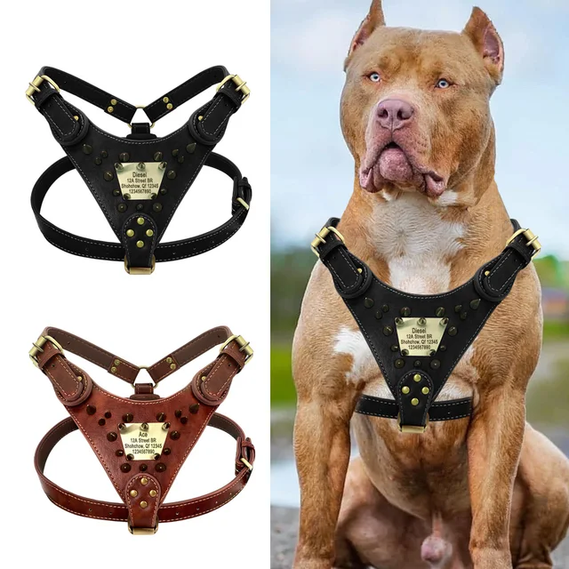 Personalized Leather Dog Harness Sharp Spiked Studded Dog Harness Custom ID Tag Harnesses Pet Vest For Pitbull Boxer Mastiff 1