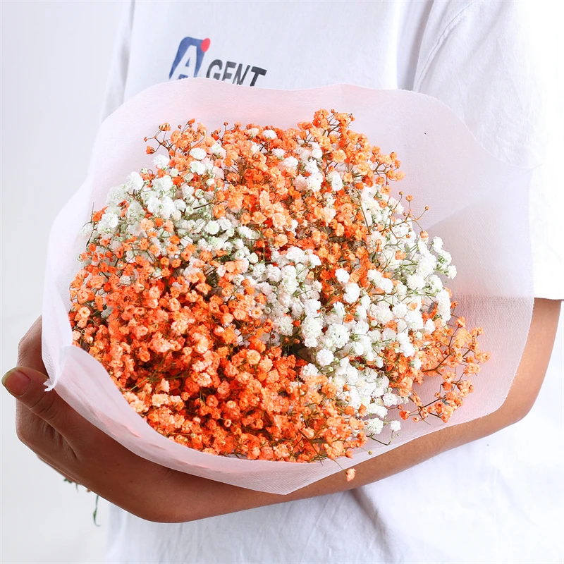 Ramos de flores secas frescas naturales para bebé, 100g, Gypsophila,  Paniculata, decoración artesanal de millones de estrellas