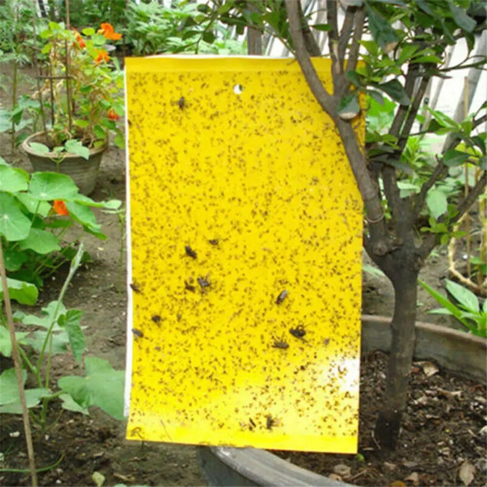 

Two-sided Stickers Glue Fruit Fly Bug Killer Insects Yellow Hang Catcher Fly Trap Board Pest Control Kitchen Farm Plant Garden