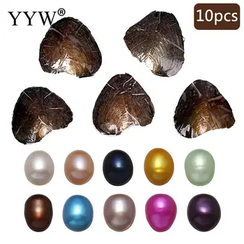

10pcs/Lot 9-9.5mm Rice Freshwater Pearls Oyster Random Gem Pearl Inside Freshwater Akoya Oyster Treasure Oyster Beads Gift
