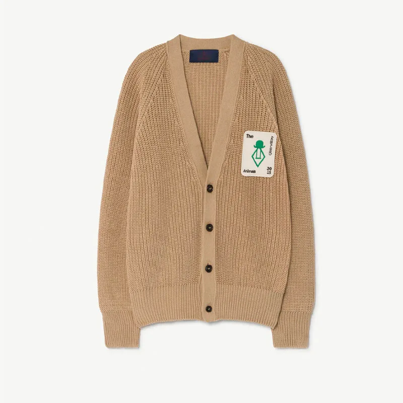 AS-N Kids Sweater Autumn Winter StRafina Boys Girls Knitted Sweater Cardigan Baby Woolen Top Sweater Outerwear Children Clothes - Цвет: AS-N