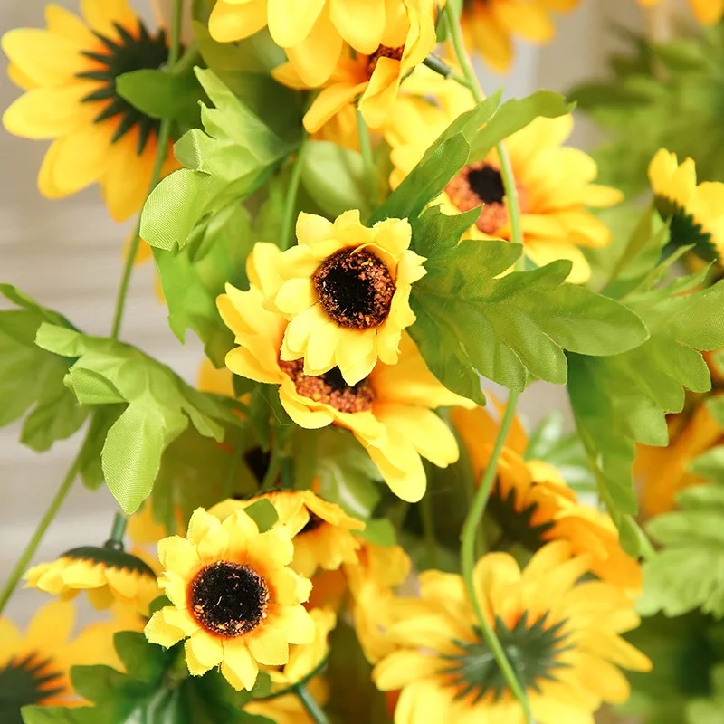 11875644491_138189699