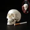 PVC Mini Skull Human Anatomical Anatomy Head Medical Model Convenient 92x99x71mm ► Photo 2/6