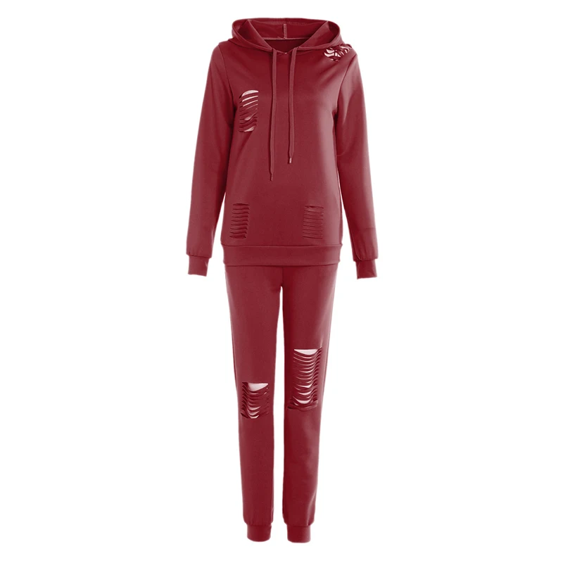 wine red Женский спортивный костюм, комплект из двух предметов, осенний спортивный костюм, толстовки с капюшоном и длинными рукавами, комплект из 2 предметов, повседневный спортивный костюм - Цвет: wine red