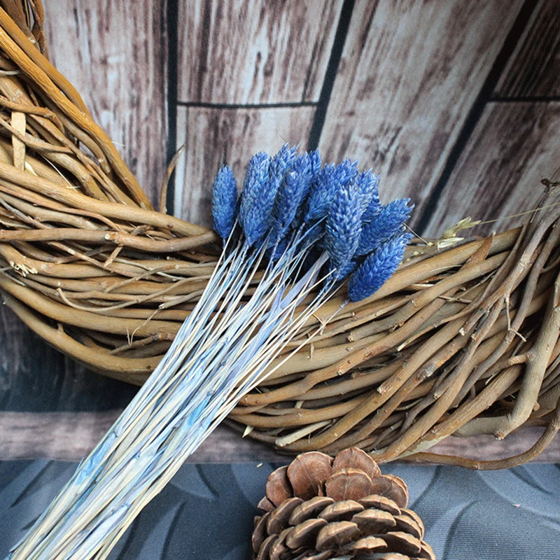 6087886751_1854372444