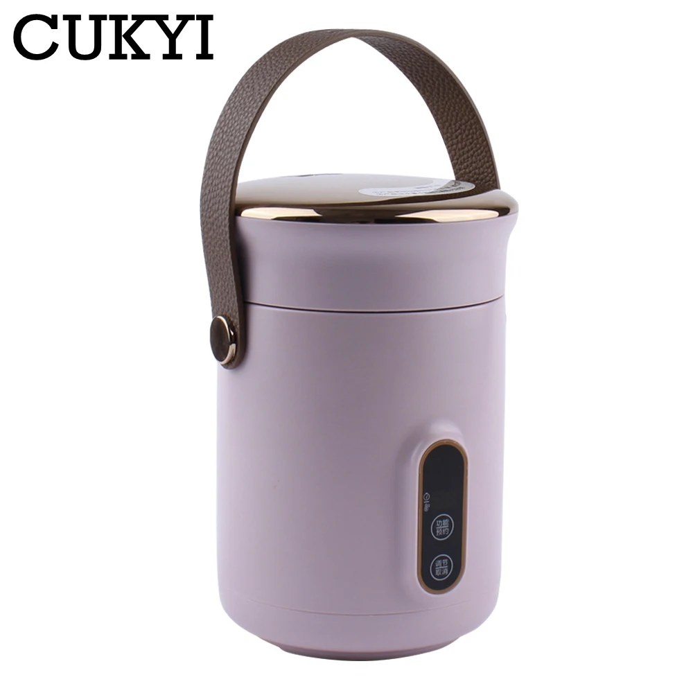 Portable 1 Cup Electric Kettle For Travel Multifunction Thermal Insulation  Health Pot 800ML Stainless Steel Porridge Soup Cooker - AliExpress