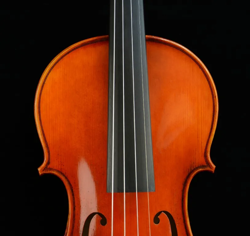 Фактическая скрипка выдающаяся скрипка удивительный звук масляного лака 1-P задняя