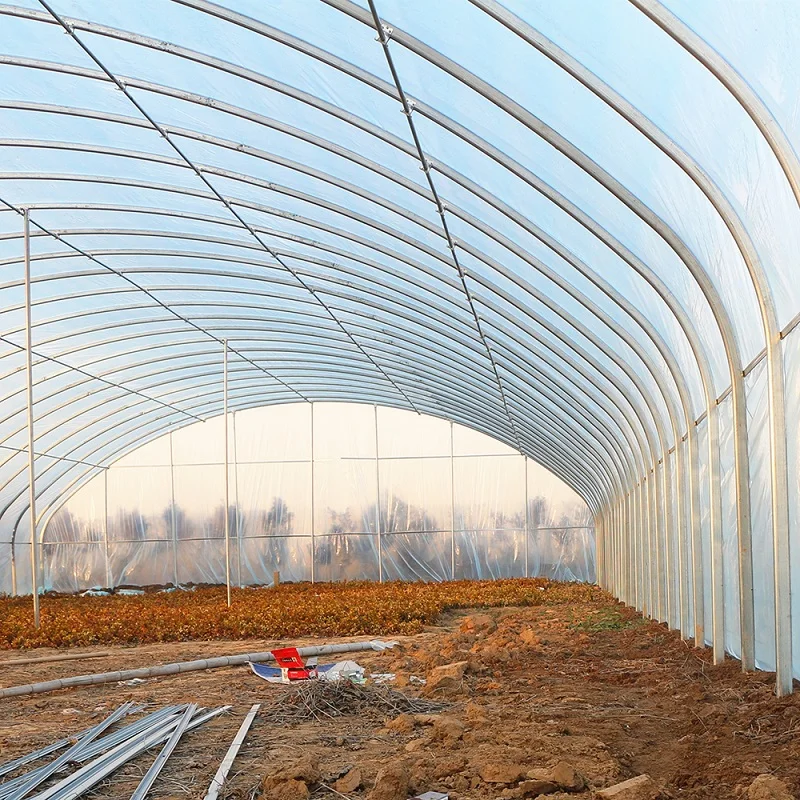 Super large planting plastic greenhouse supplier