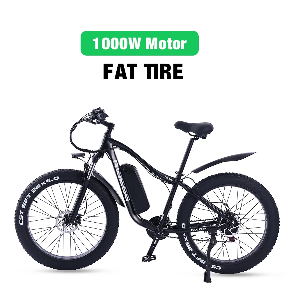 ebike store